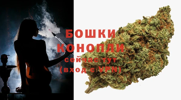 сатива Верхнеуральск