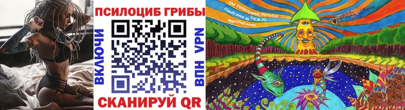 OMG как зайти  Вилючинск  Галлюциногенные грибы мухоморы 